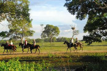 Southwild Pantanal Lodge Pocone Bagian luar foto